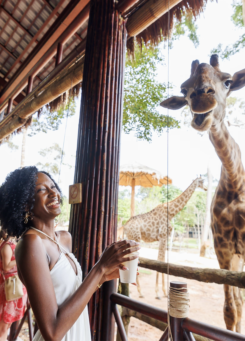 Sam laughing with a giraffe at a wildlife park